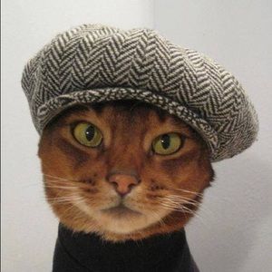 Meet your Posher, Donna